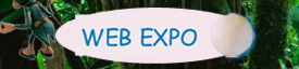 Web Expo