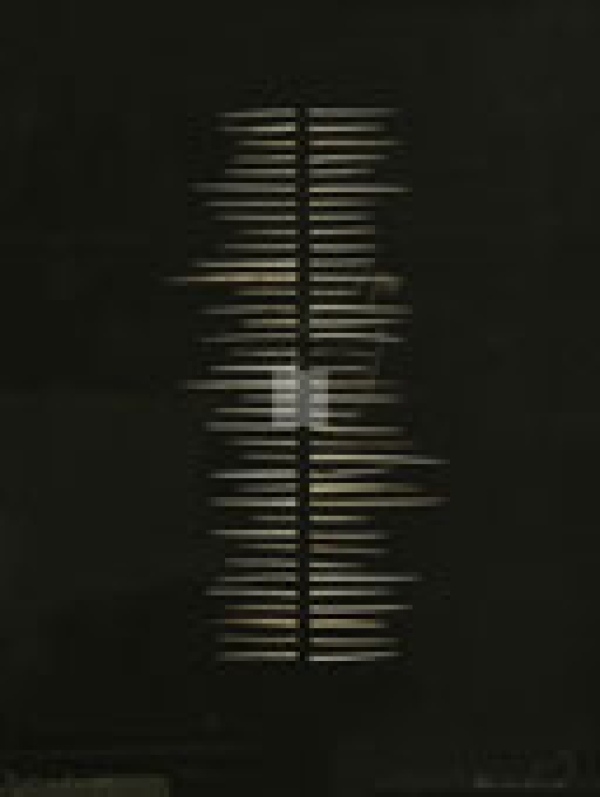 MOD 2048 Hilton Mc Connico « Back Bone of a cactus » Collage fait d’épines de cactus